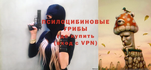 герыч Елабуга