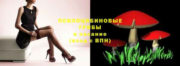 марки nbome Ельня