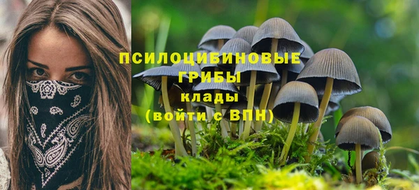 синтетический гашиш Елизово