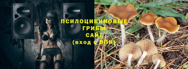 синтетический гашиш Елизово