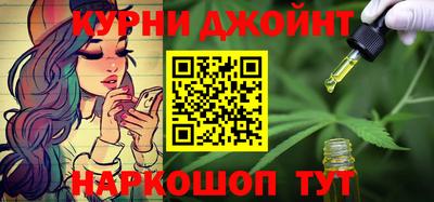 стафф Кингисепп