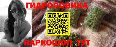 стафф Кингисепп