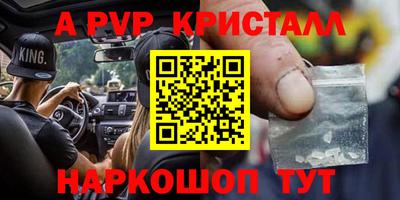 стафф Кингисепп
