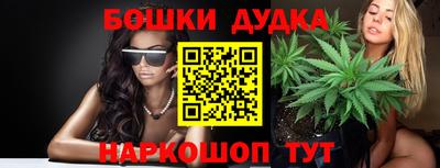 стафф Кингисепп