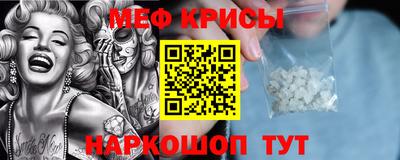 стафф Кингисепп
